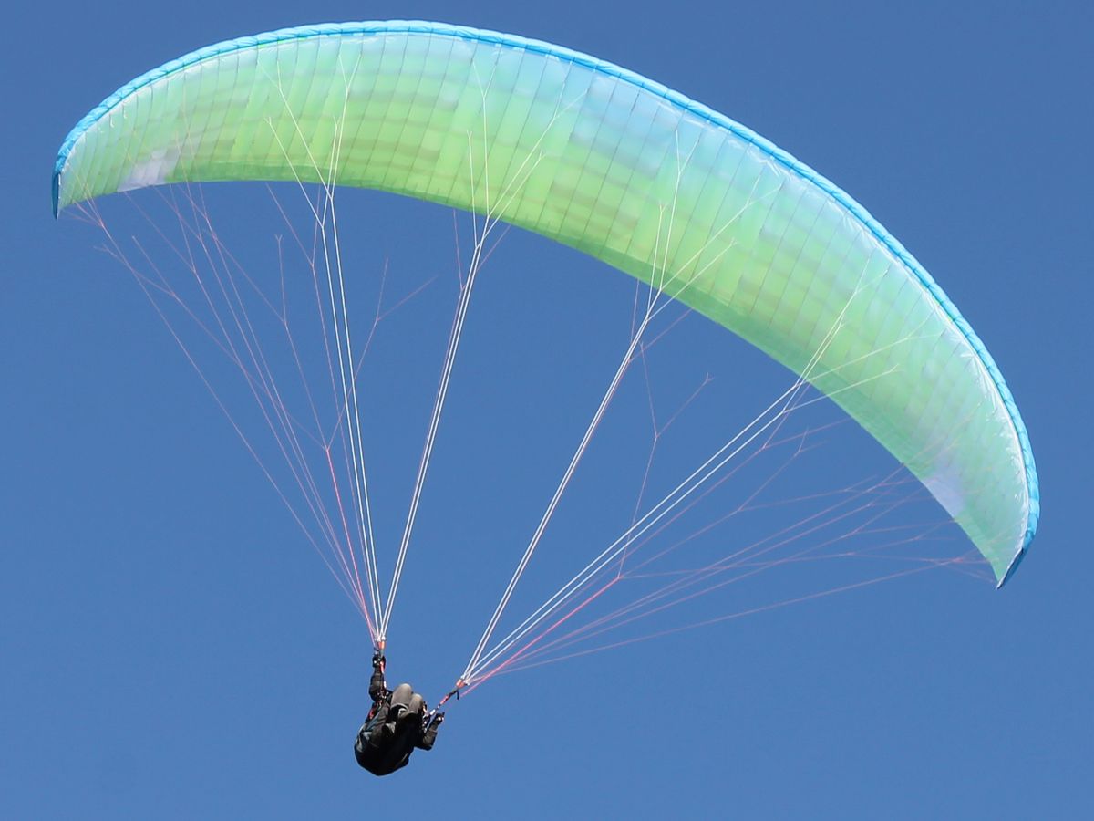 Axis Venus 4 - 