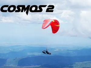 Купить Cosmos 2 Red
