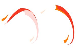 Параплан Axis Vega 6 - 